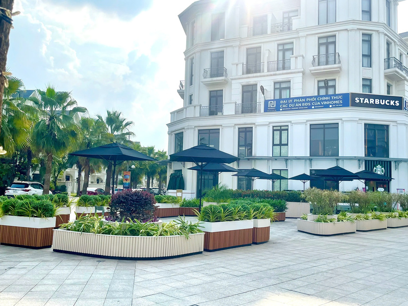 Chậu theo thiết kế, chậu cong